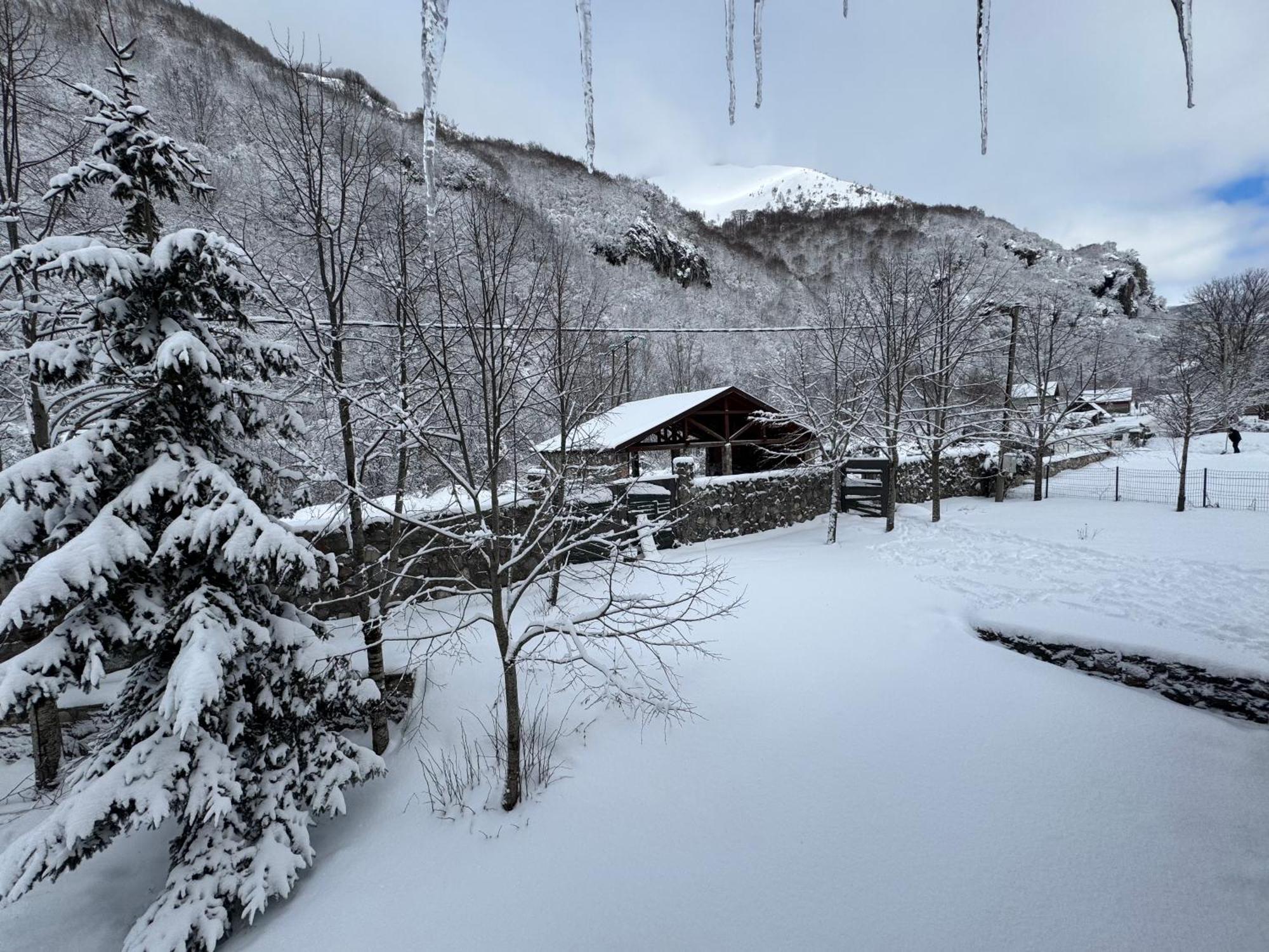Vikendice Biocinovici Villa Kolašin Esterno foto